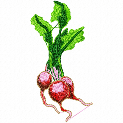 Radish Embroidery Design 6 Radish Embroidery Design 6